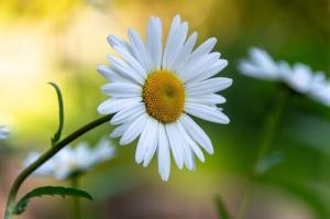 There is no need to suffer