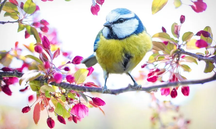 The Power of Divine Spirituality