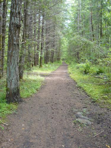 spirit life is your destiny