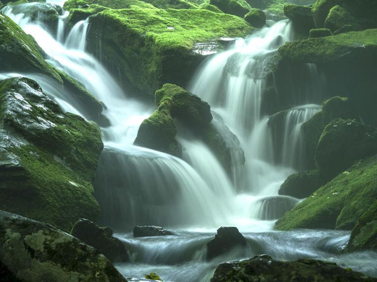 What the spirit says