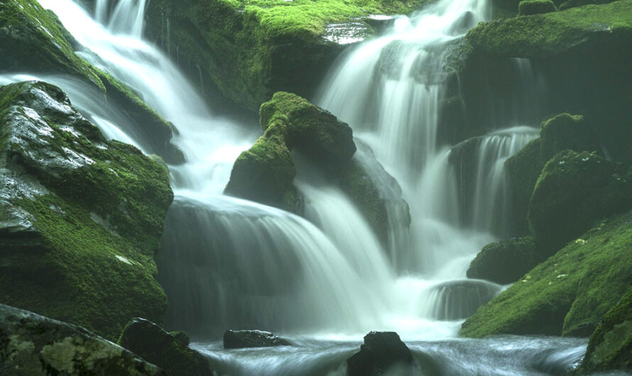 What the Spirit Says