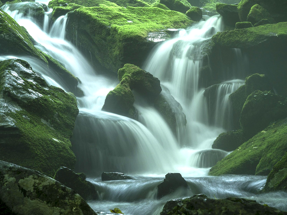 What the Spirit Says